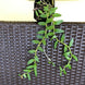 Product image thumbnail 6