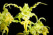 Product image thumbnail 2