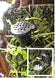 Product image thumbnail 3
