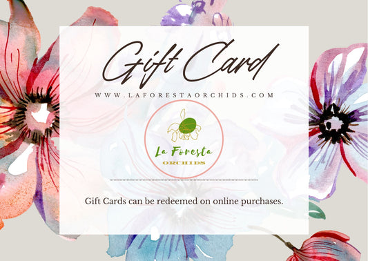 Gift Certificate Gift Certificate La Foresta Orchids 