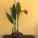 Product image thumbnail 6