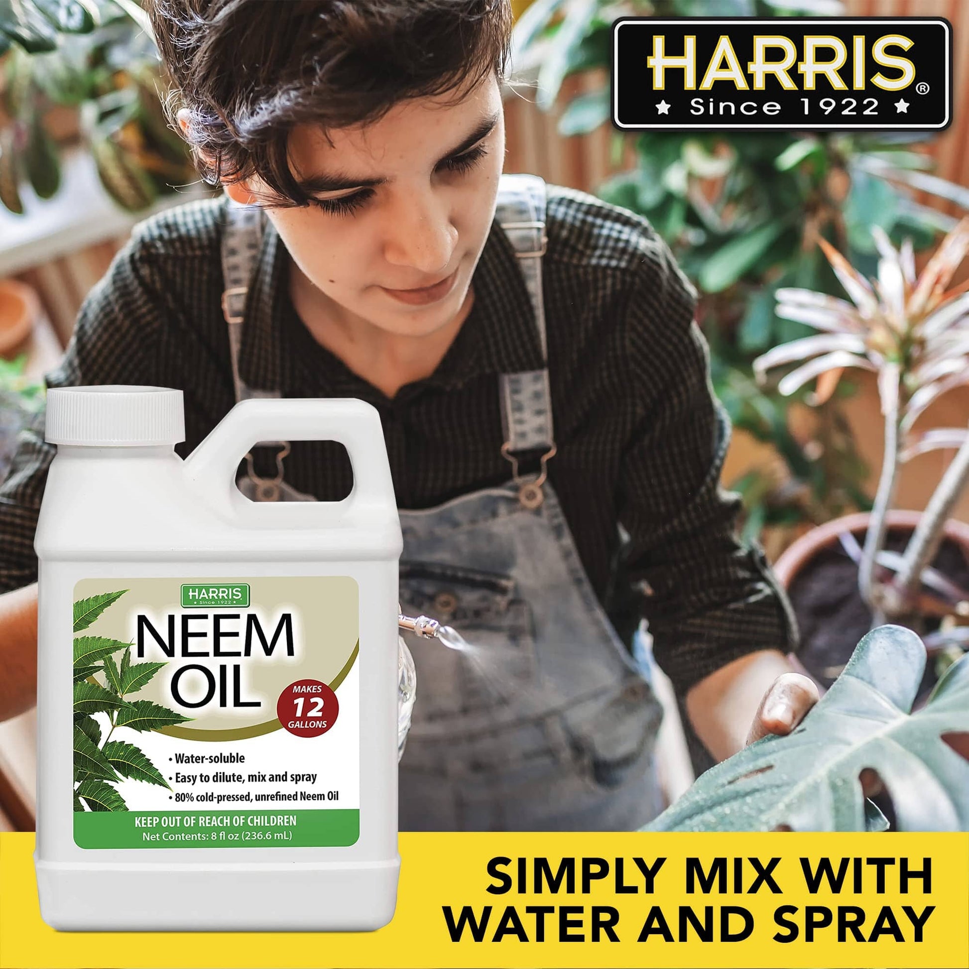 neem oil and castile soap insecticide Pest Control: Insecticide