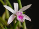 Product image thumbnail 1