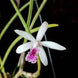 Product image thumbnail 2