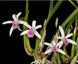 Product image thumbnail 3