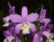 Product image thumbnail 2