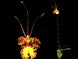 Product image thumbnail 3