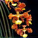 Product image thumbnail 3