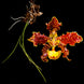 Product image thumbnail 1