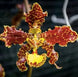 Product image thumbnail 2
