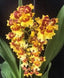 Product image thumbnail 3