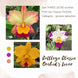 Product image thumbnail 2