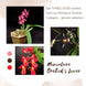 Product image thumbnail 1