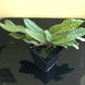 Product image thumbnail 6