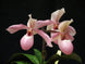 Product image thumbnail 4