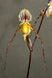 Product image thumbnail 3