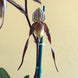 Product image thumbnail 4