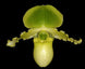 Product image thumbnail 1