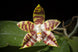 Product image thumbnail 3