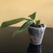 Product image thumbnail 9
