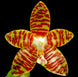 Product image thumbnail 2