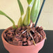 Product image thumbnail 5