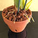 Product image thumbnail 6