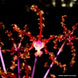 Product image thumbnail 1