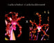 Product image thumbnail 3