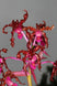 Product image thumbnail 2