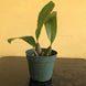 Product image thumbnail 10