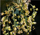 Product image thumbnail 1