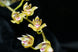 Product image thumbnail 4