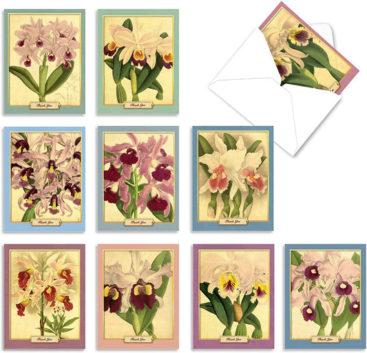 Vintage Orchid Note Card - Say Thank You Gifts La Foresta Orchids 