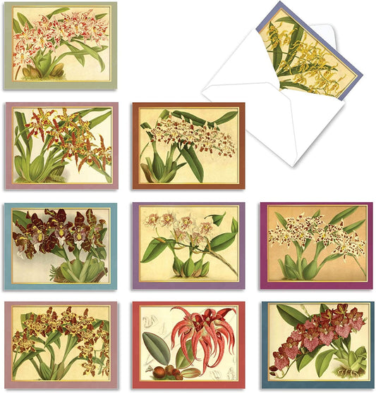 Vintage Orchid Note Card - Send a Message Gifts La Foresta Orchids 